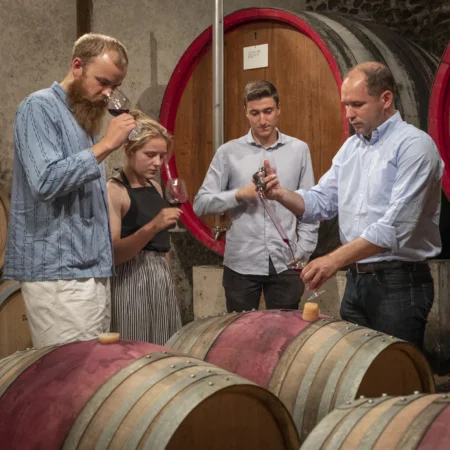 DL-Beaujolais2018071800037 DL-Beaujolais2018071800037