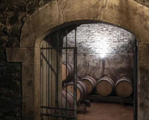 Entrée de cave chez un vigneron