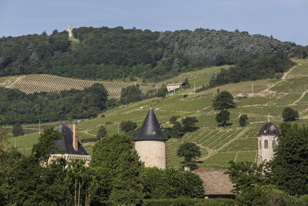 Paysage été