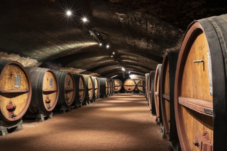 Petit lexique de la dégustation de vin — Terre des Brouilly